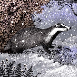 VG1055 TFHRA Woodland badger