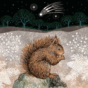 VG1074 Red Squirrel with cometPLG