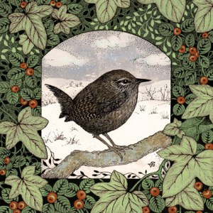 VG1098 Merry Berry Wren PLGMT