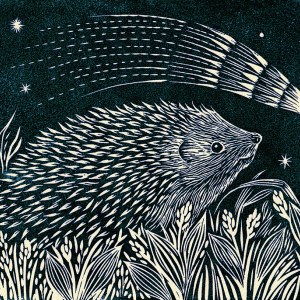 VG1117  TFHRA lino hedgehog and comet