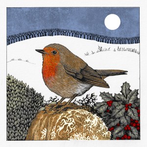 VG1118 robin in winter