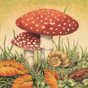 Valerie Greeley VG1024 mushroom
