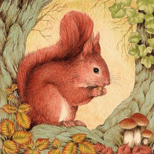 Valerie Greeley VG1027 squirrel