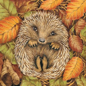 Valerie Greeley VG1029  hedgehog