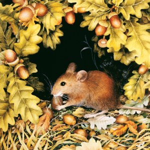 VG0033 WoodmousePLGUSA copy