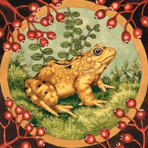 VG1026 frog