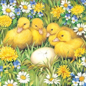 VG0078 Ducklings with egg PLX