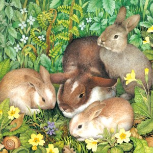 VG0082 Rabbit family PLX