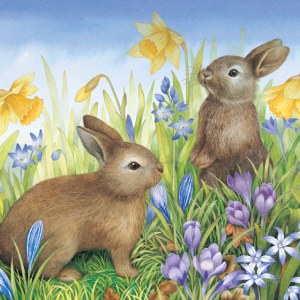 VG0107 Rabbits crocus PLGUSA PLNAPDEN PLTINUSACAN