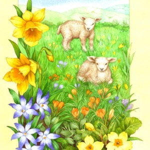 VG0141 Spring lambs PLX