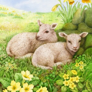 VG0758 two lambs PLGX