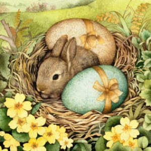 VG1127 baby bunny in nest