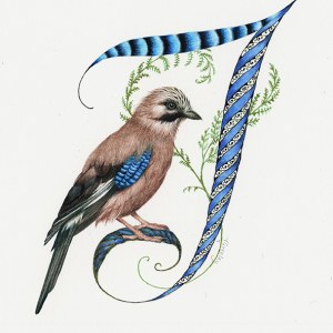 VG1013 TFHRA letter J Jay