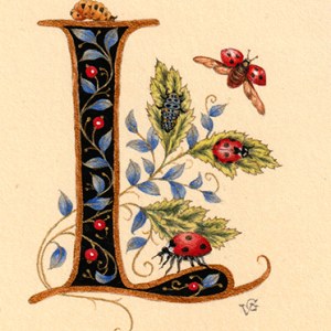 VG1109 TFHRA ladybird letter l
