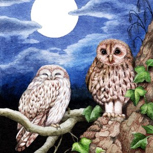 Valerie Greeley VG0728 Winter Moon with Two Owls