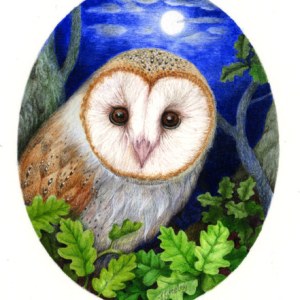 VG0908A barn owl miniature PD