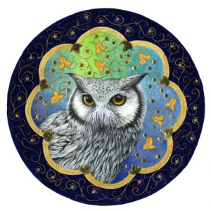 VG0975 scops owl TAPWWEX PW.