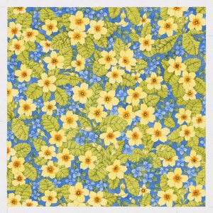 VG0404 primroses and speedwell PLX