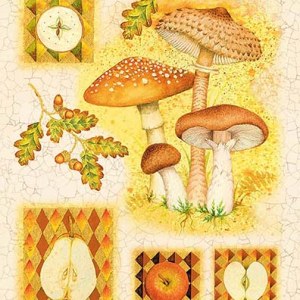 VG987 TFHRA pears card