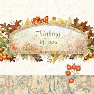 VG989 TFHRA Thinking of you november card