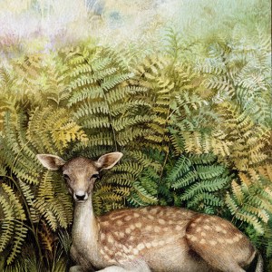 Valerie Greeley VG1041 BOD deer