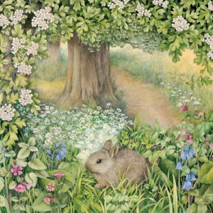 VG0013 May blossom rabbit.jpg PLX