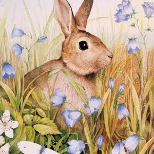 VG0086 rabbit bells.jpg PLGUSA