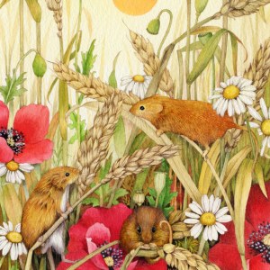 VG0087 Harvest mice PGUSA.jpg