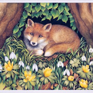 VG0092 Fox PLX