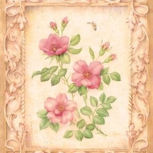 VG0299 Antique Rosa TFHRA