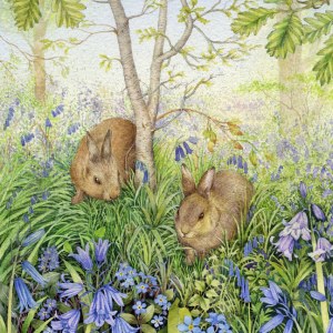 VG0366 bluebell rabbit 2.jpg PLX