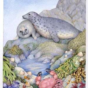 VG0370 Seals.jpg PLX