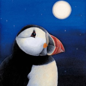 VG0499 puffin.jpg PW