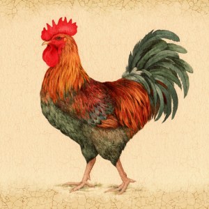 VG0566 rooster mat crop