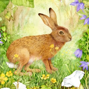 VG0730B  Hare Card 5by7 TFHRA