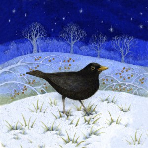 VG0918B square blackbird miniature square TFHRA