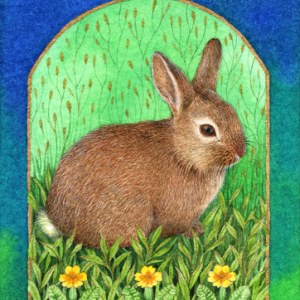 VG0928 Rabbit Meadow TFHRA