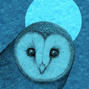 VG0948 barn owl bluemoon TFHRA
