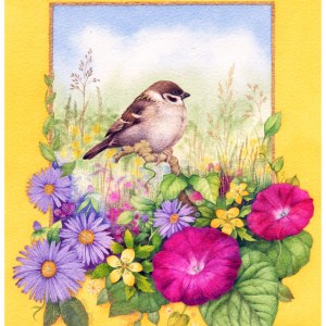 VG0949 tree sparrow