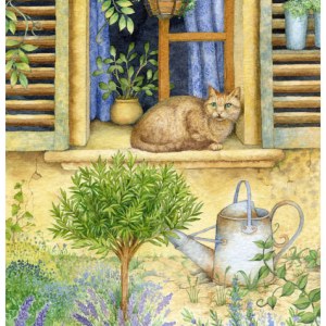 VG0950 Jardin d'herbes