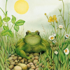 VG0955 Frog green.jpg PLX