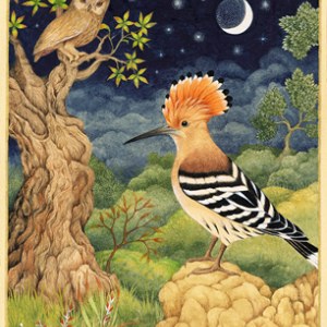 VG1083 TFHRA Hoopoe cardLR