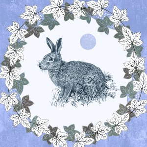 VG1086 TFHRA Blue Moon Hare