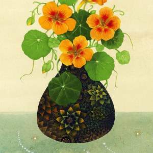 VG1116 November Nasturtiums PLGMH