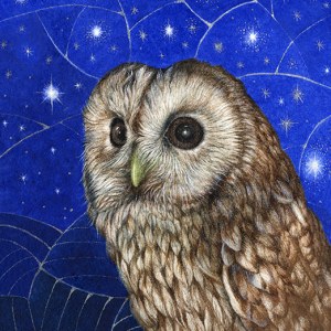 Valerie Greeley VG1044 TFHRA Tawny Owl square