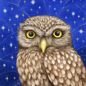 Valerie Greeley VG1046 TFHRA little owl starry sky