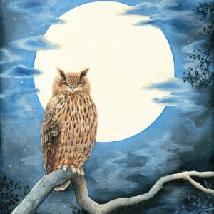 VG0371 owl and moon.jpg PLX