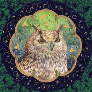 VG0917B square Eagle Owl Christmas–TFHRA