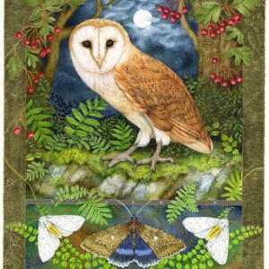 VG0972 Moths and Moonlight PLGUKEU