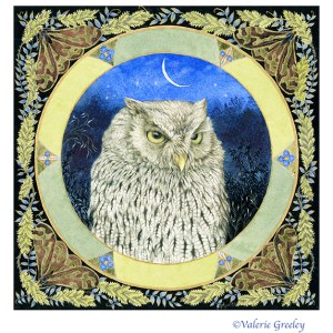 VG0981 Green eyed owl with tiger moths TFHRA